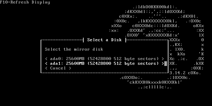 ../../../_images/fw.ra.install.1.3.2.png