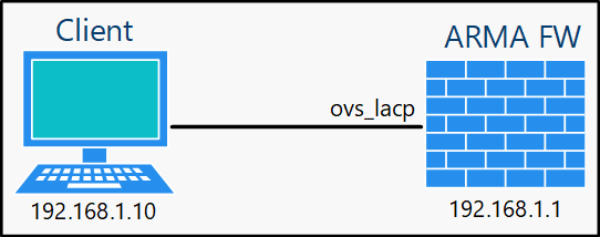 ../../../_images/fw.rp.lacp.1.png